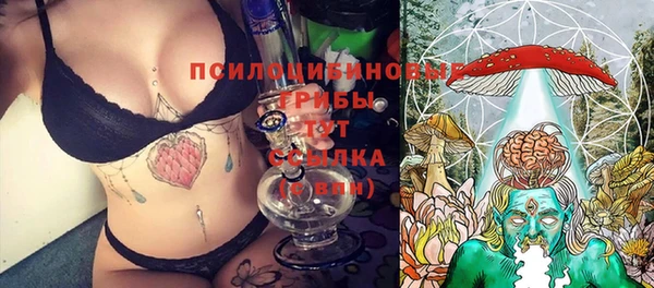 apvp Зерноград