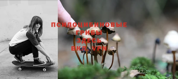 МДМА Каменка